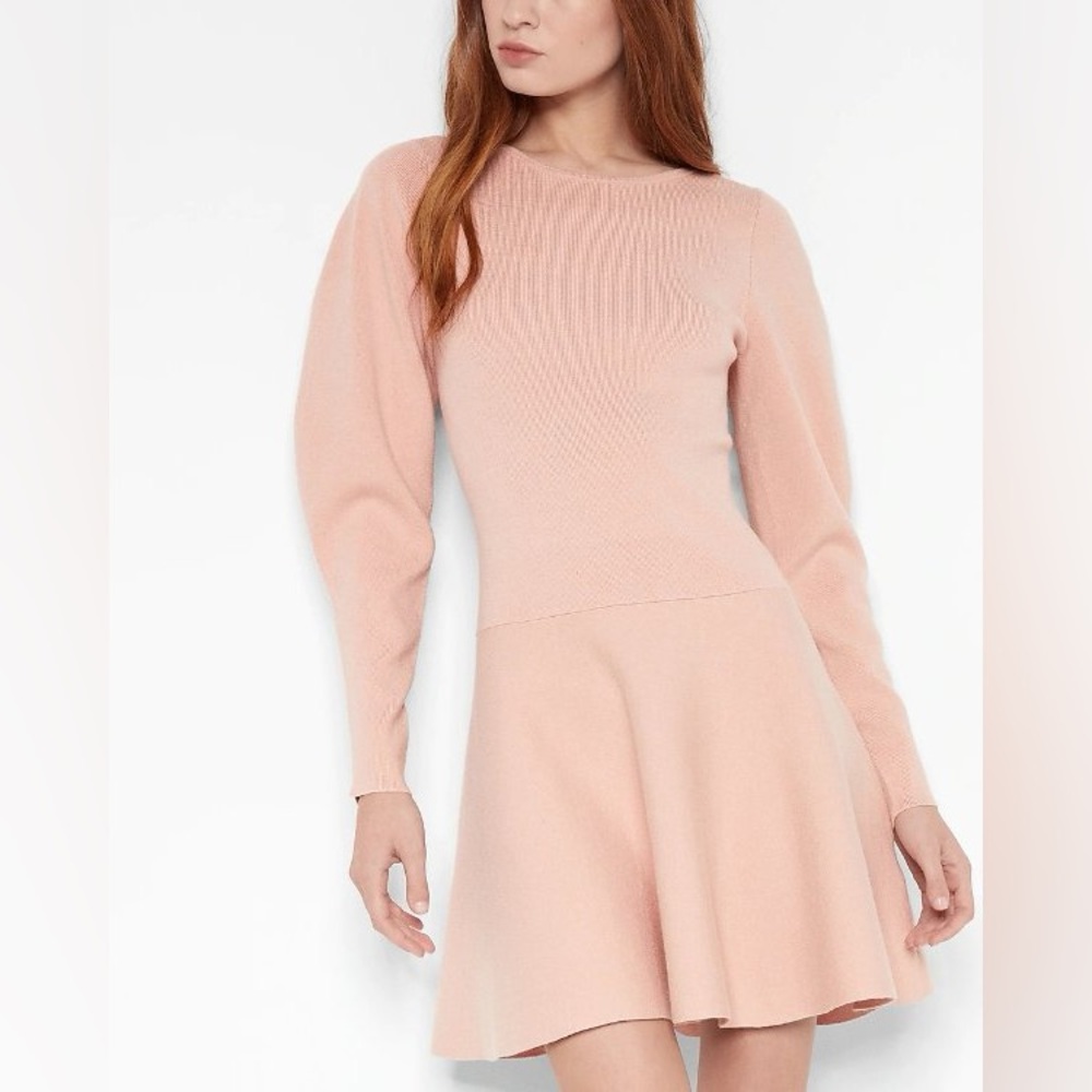 Express Blush Long Sleeve Mini Dress - Picture 1 of 7